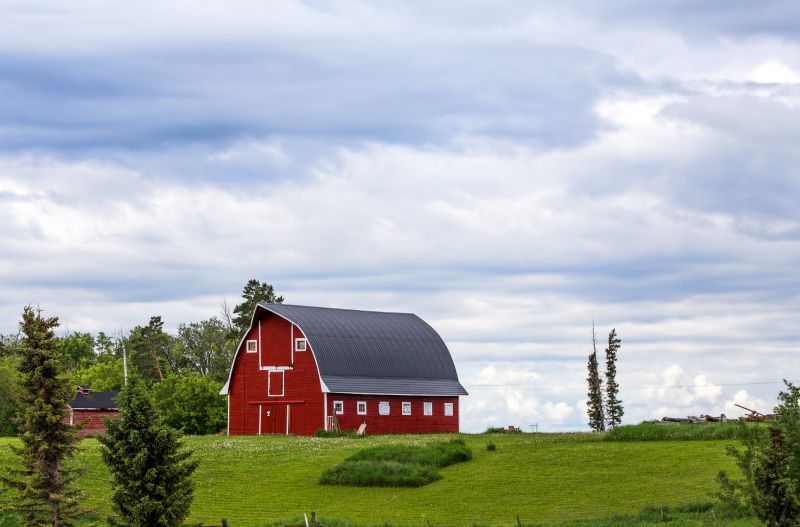 Barn Renovation in Conroe, TX