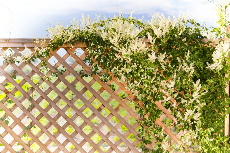 Fence Trellis Installation in Kansas City, KS
