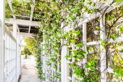 Trellis Fence Construction in Wilmington, NC