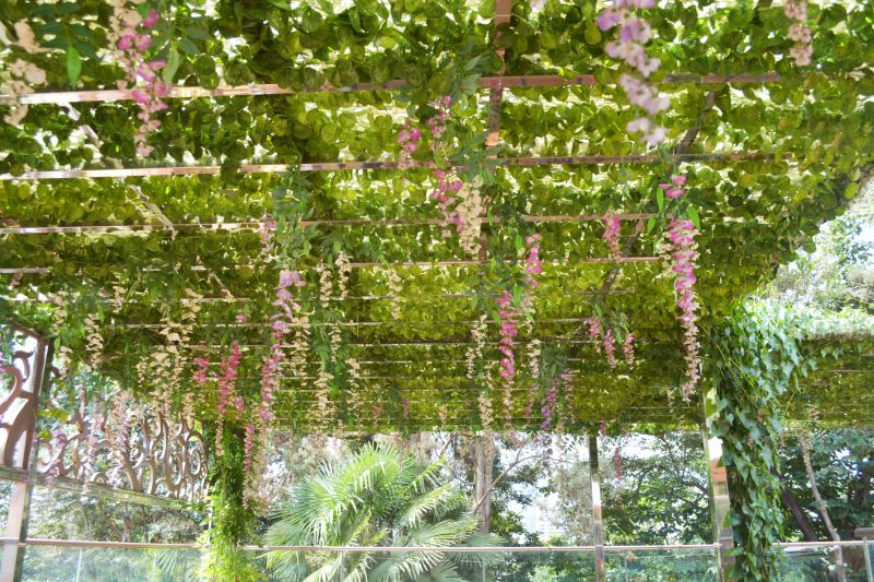 Vineyard Trellis Installation in Conroe, TX